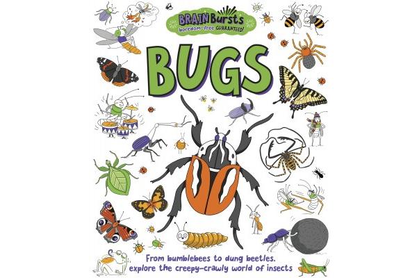 Bugs (Brain Bursts)