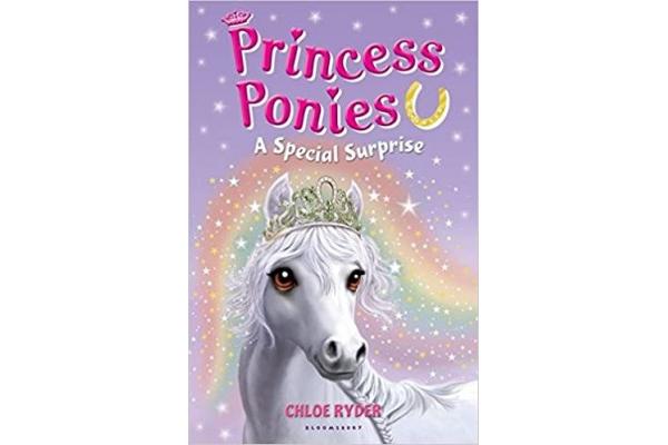 Princess Ponies : A Special Surprise