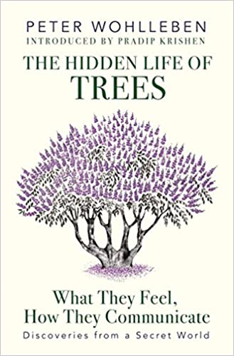 The Hidden Life of Trees