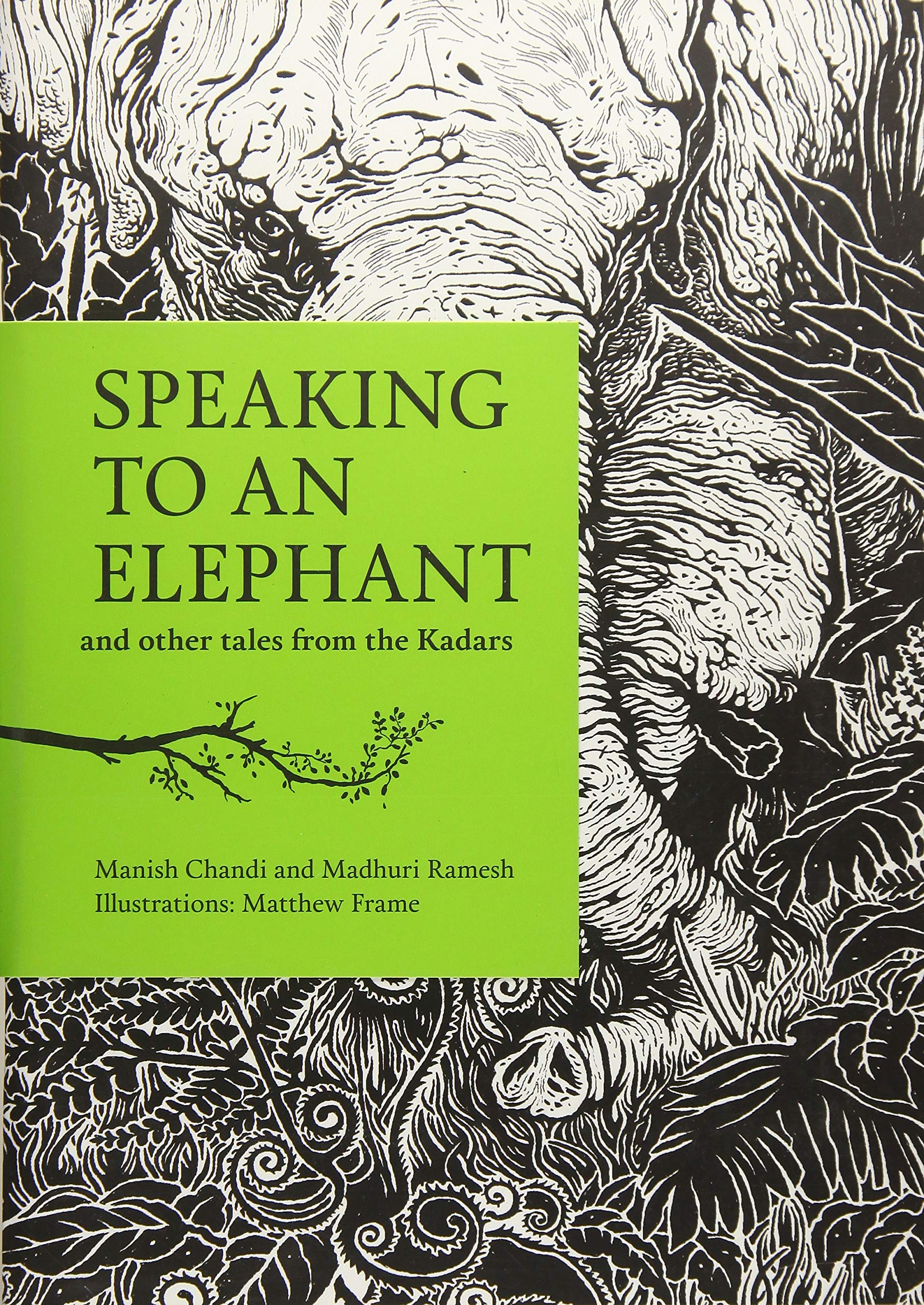 Speaking to an Elephant and Other Tales from the Kadars