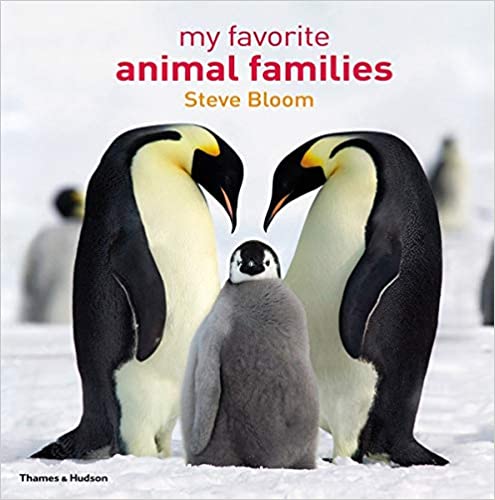 My Favorite Animal Families Hardcove