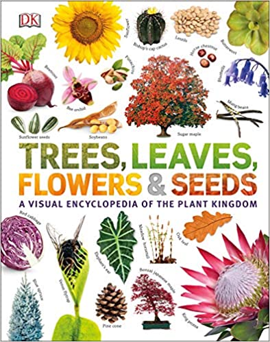 Trees, Leaves, Flowers & Seeds: A visual encyclopedia of the plant kingdom