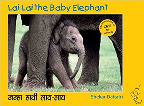 Lai Lai the Baby Elephant