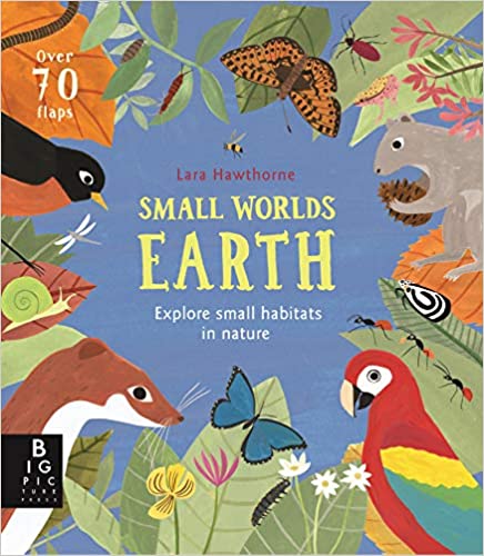 Small Worlds: Earth