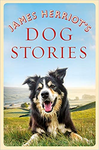 Dog Stories