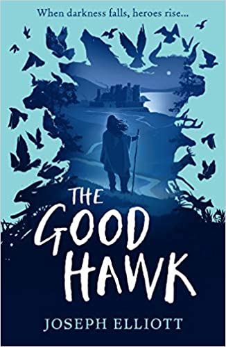 The Good Hawk