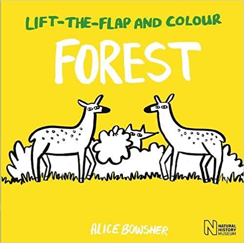 Lift-the-flap and Colour:: Forest