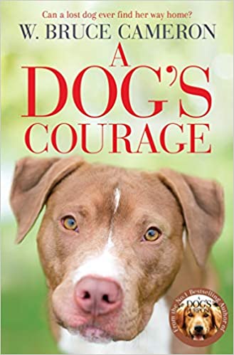 A Dog's Courage