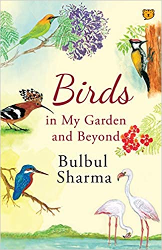 Birds in My Garden and Beyond