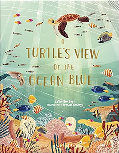 A Turtle's View of the Ocean Blue