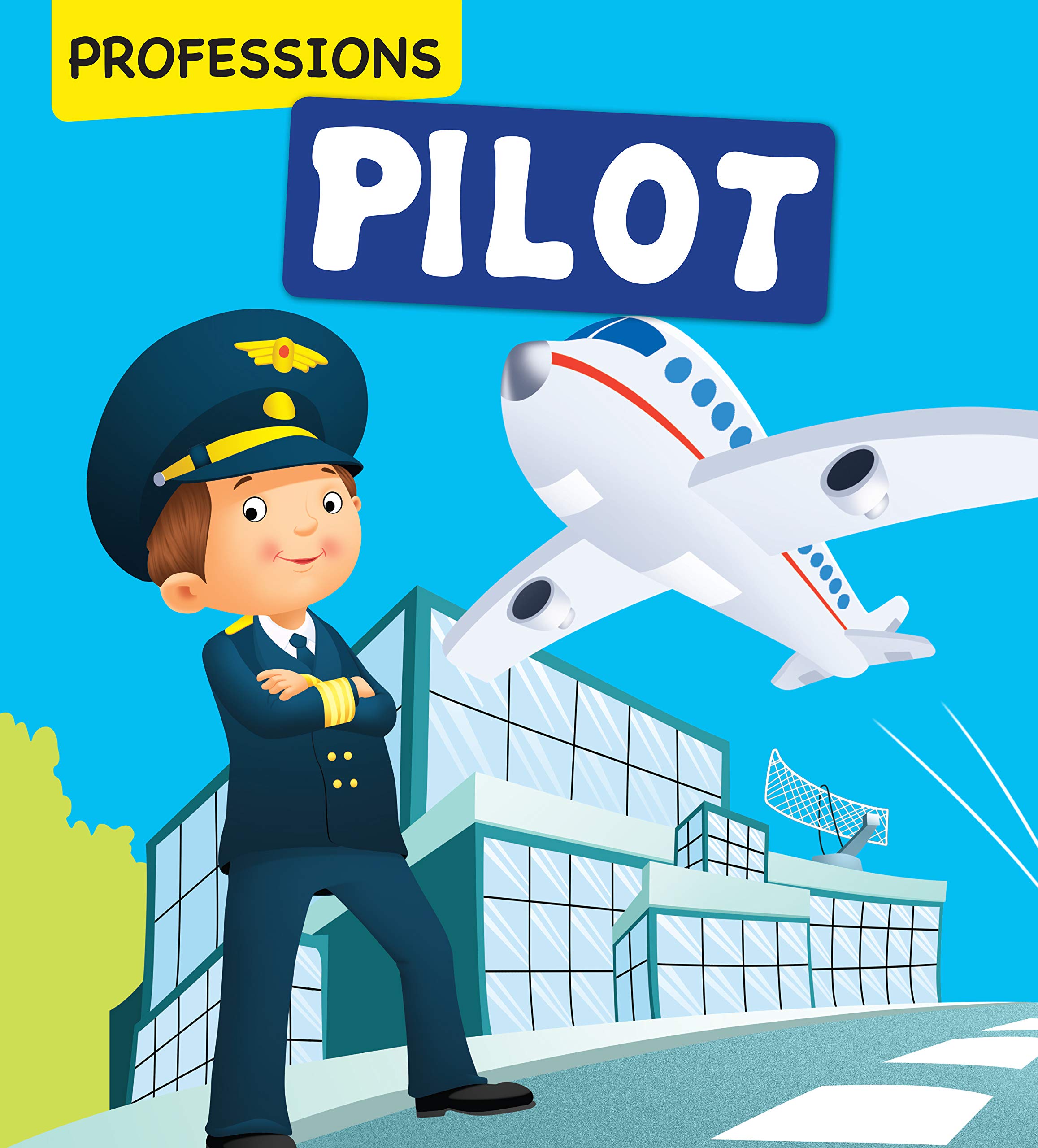 Professions : Pilot