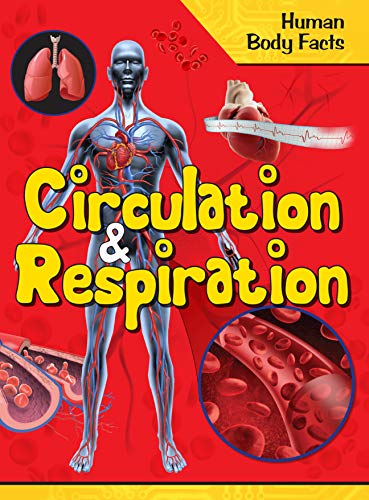 Human Body Facts : Circulation & Respiration