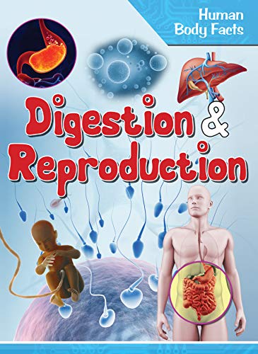 Human Body Facts : Digestion & Reproduction