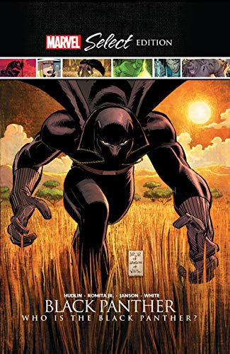 Black Panther: Who Is The Black Panther?