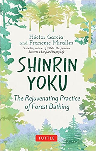 Shinrin Yoku: The Rejuvenating Practice Of Forest Bathing