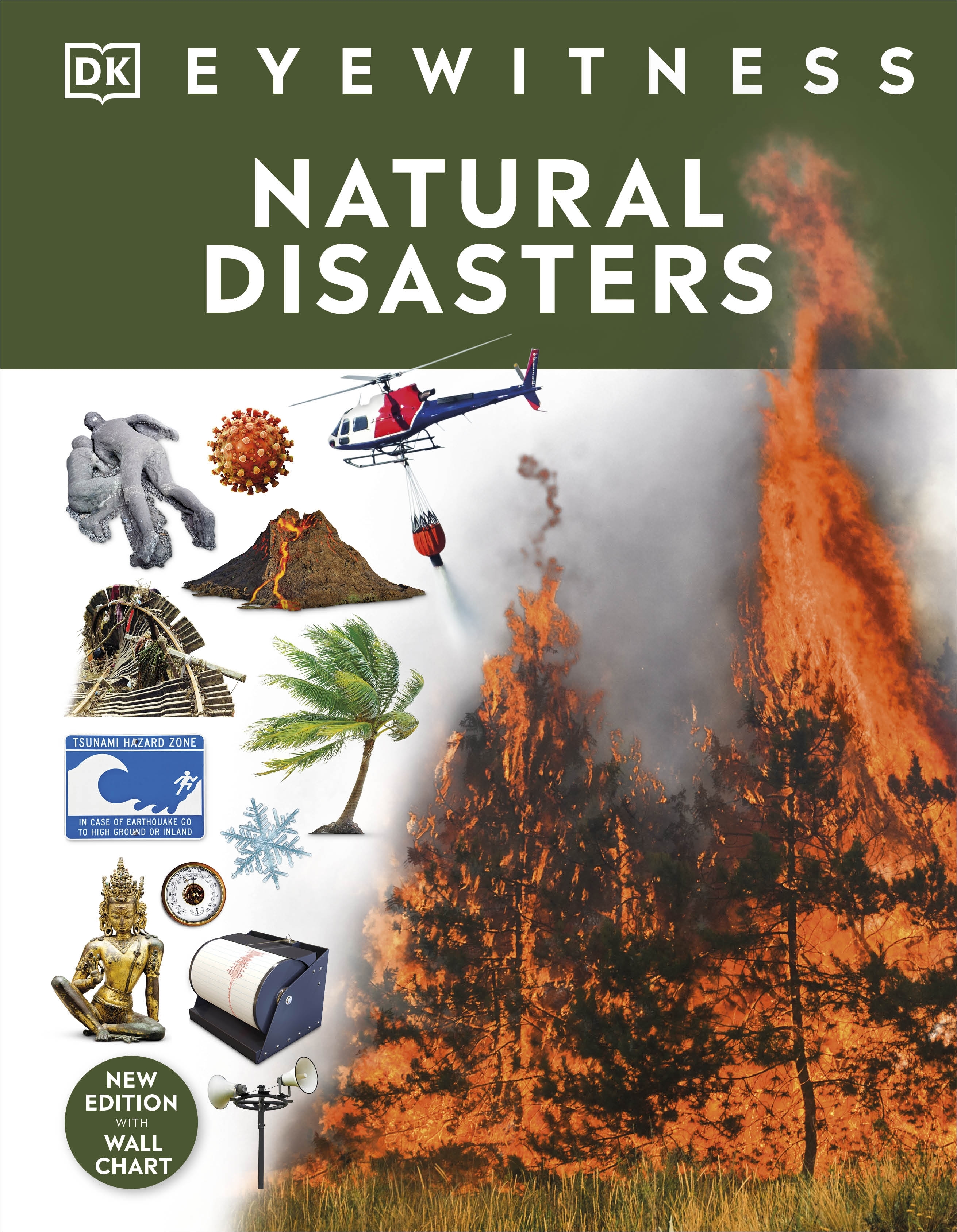 DK Eyewitness : Natural Disasters