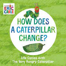 How Does a Caterpillar Change?