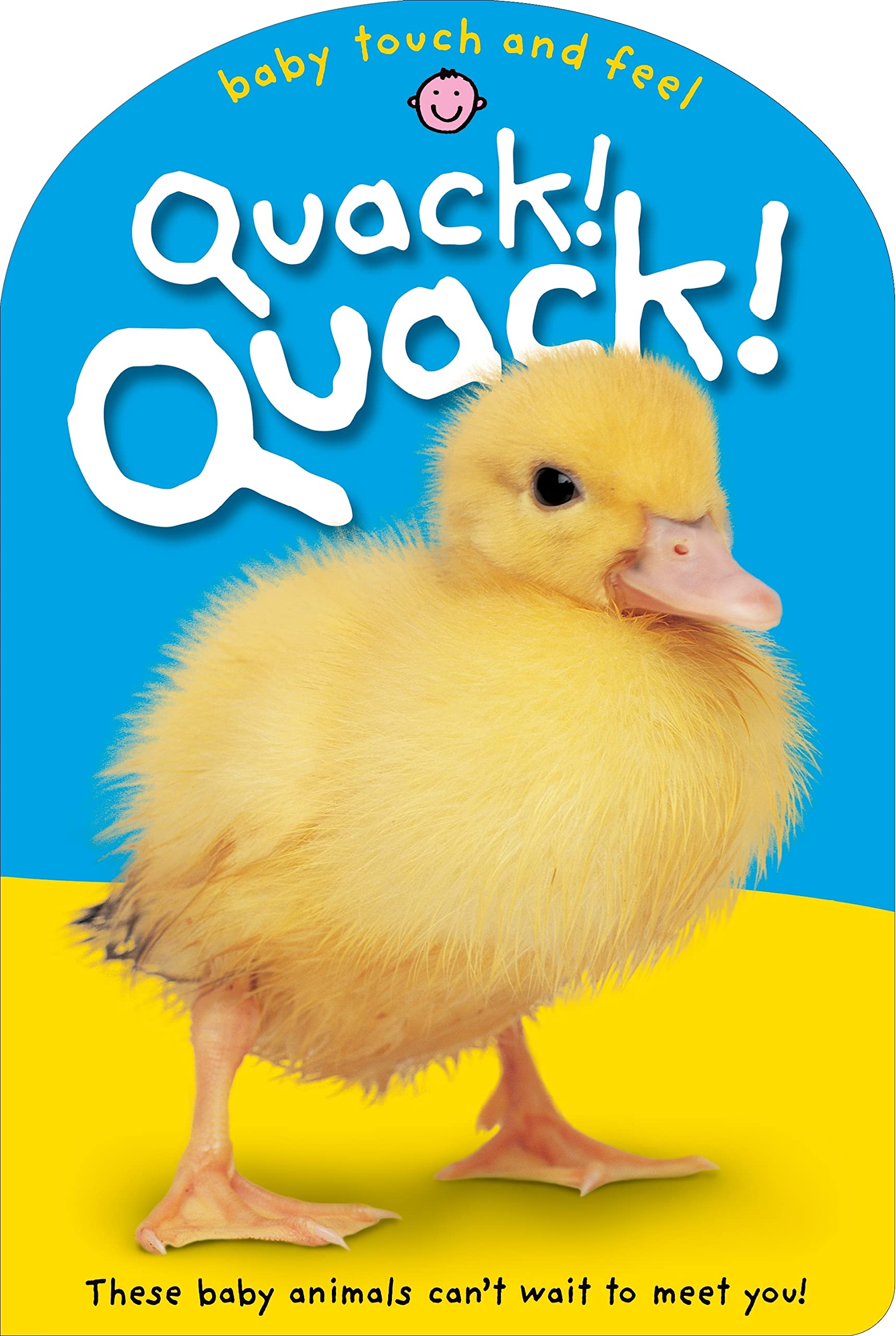 Baby Touch and Feel: Quack! Quack!