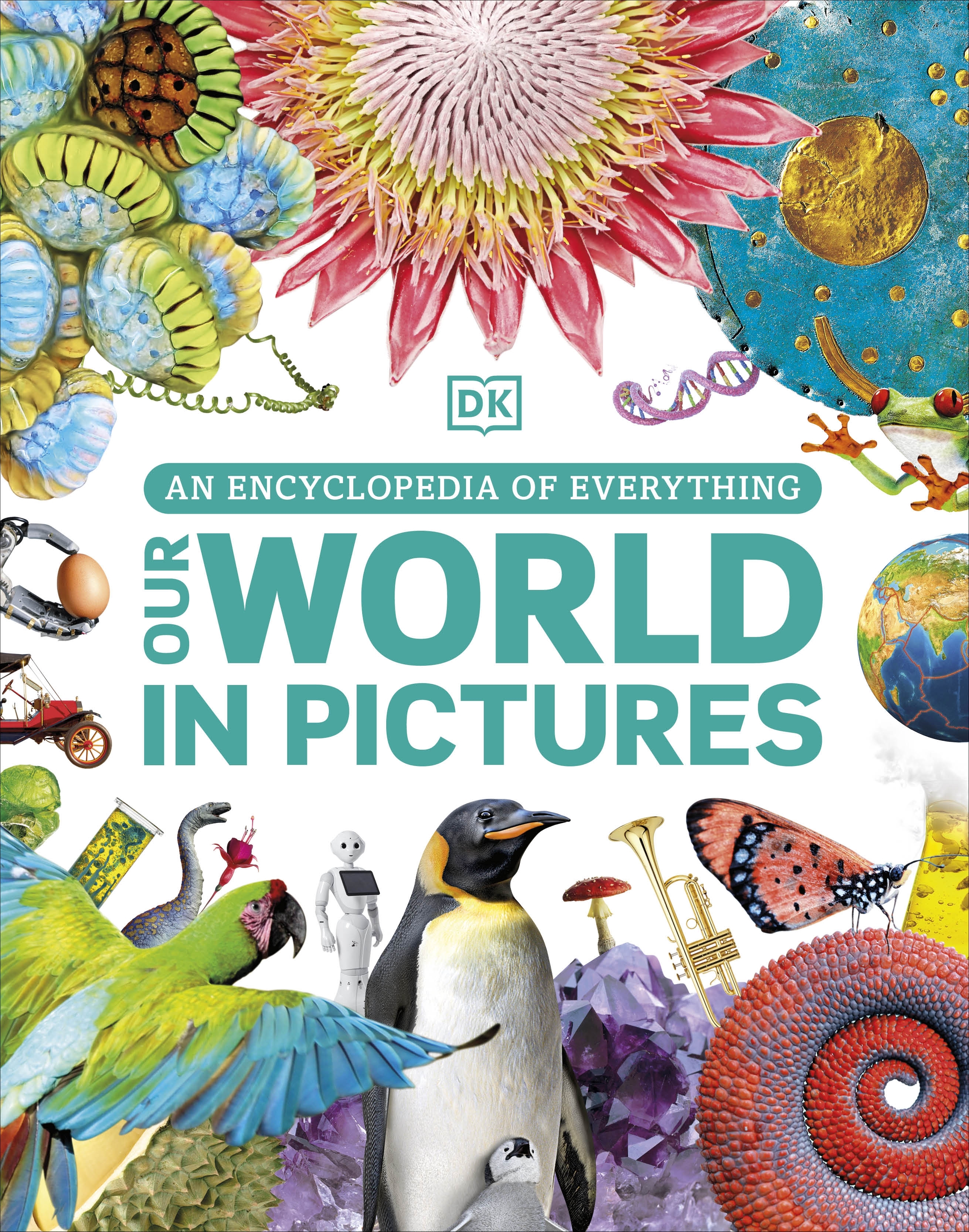 An Encyclopedia of Everything : Our World in Pictures