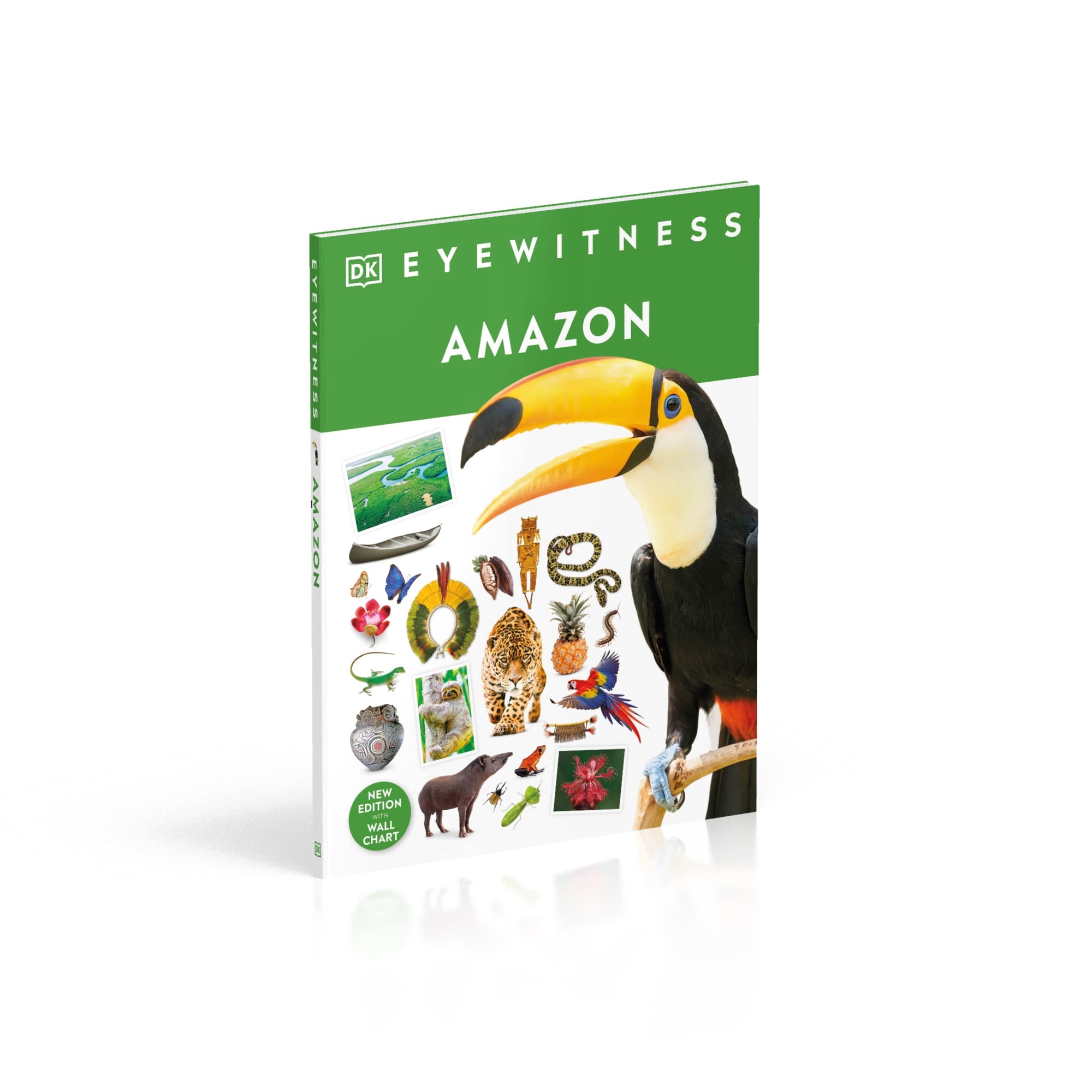DK Eyewitness : Amazon