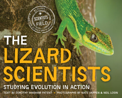 The Lizard Scientists: Studying Evolution in Action