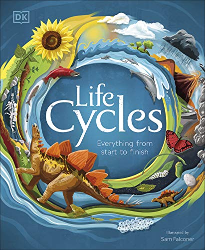 Life Cycles : Everything from start to finish