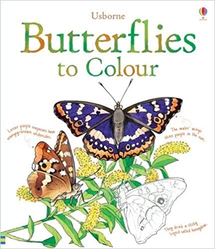 Butterflies to Colour