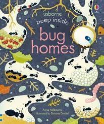 Usborne Peep Inside Bug Homes