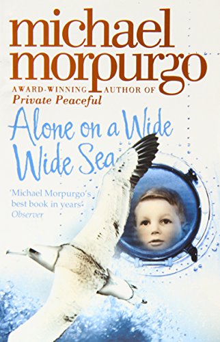 Alone on a Wide Wide Sea
