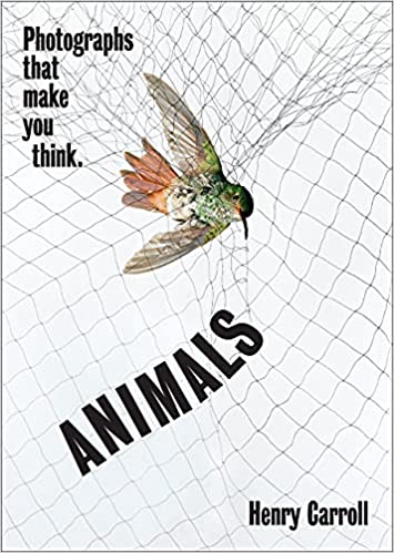 ANIMALS : PHOTOGRAPHS THAT MAKE YOU THINK