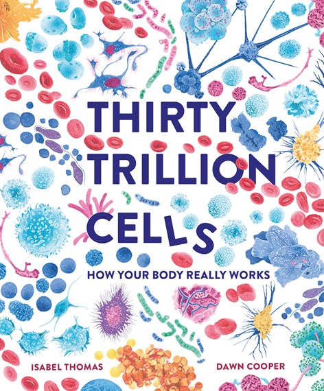 Thirty Trillion Cells: How Your Body Really Works