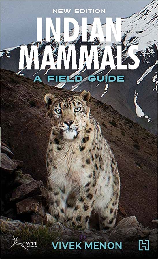 Indian Mammals: A Field Guide