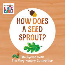How Does a Seed Sprout?