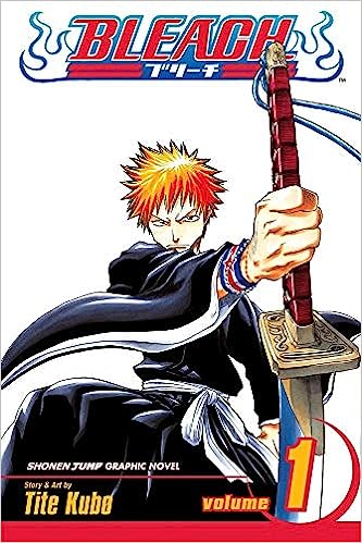 Bleach Vol. 01