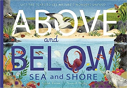 Above and Below: Sea and Shore