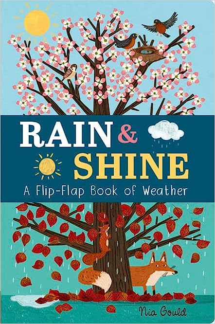 Rain and Shine: A Flip-Flap Book of Weather