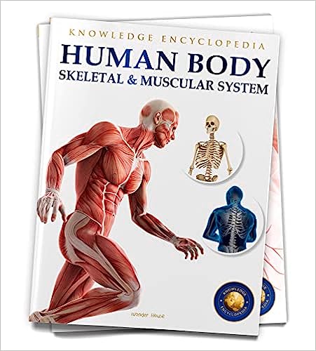 Human Body - Skeletal And Muscular System: Knowledge Encyclopedia