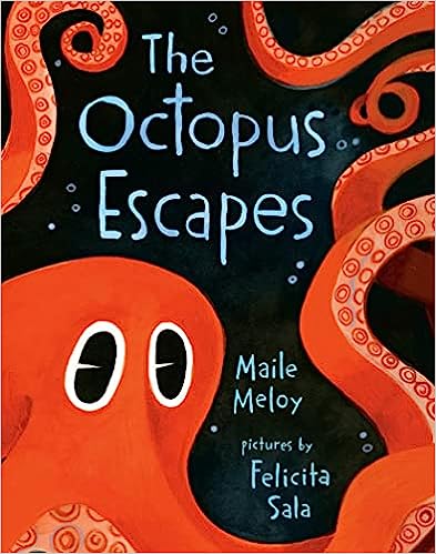 The Octopus Escapes