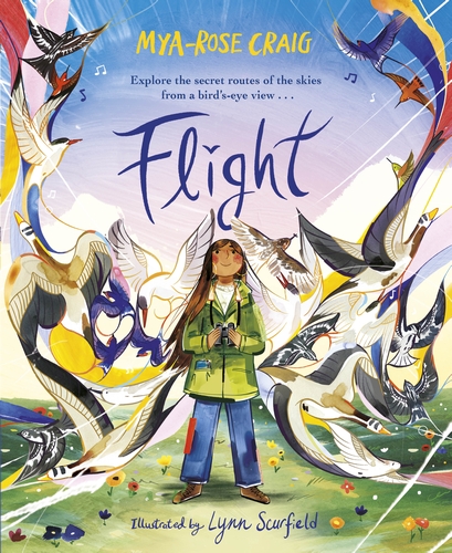 Flight: Explore the secret routes of the skies from a bird's-eye view…