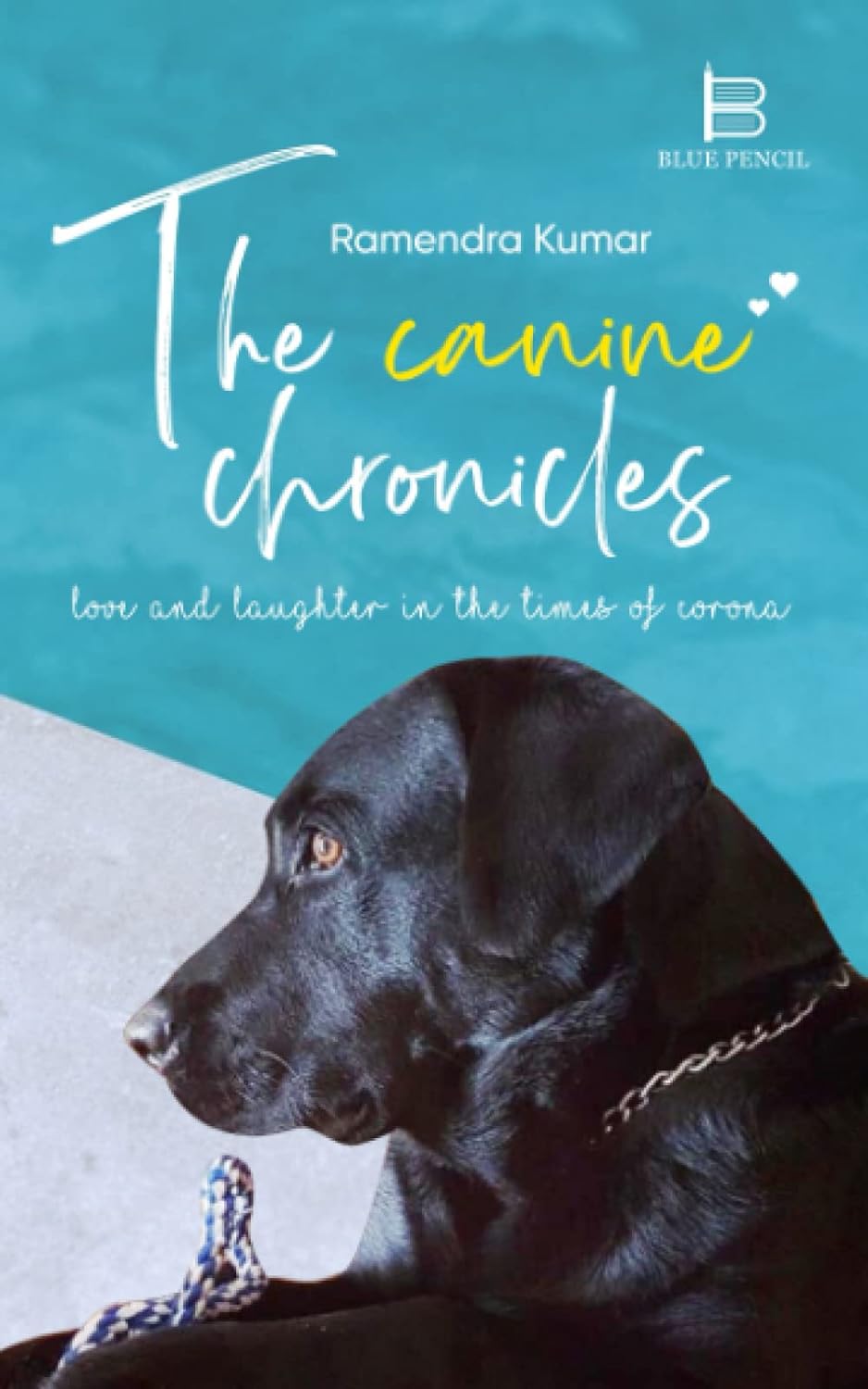 The Canine Chronicles: Love & Laughter in the Times of Corona