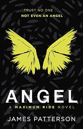 Angel: A Maximum Ride Novel