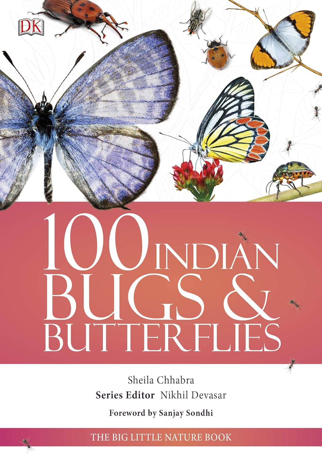 100 Indian Bugs & Butterflies: The Big Little Nature Book