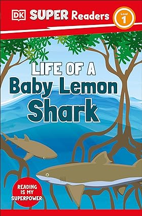 Super Readers Level 1 Life of a Baby Lemon Shark