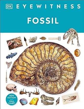 Fossil : (DK Eyewitness)