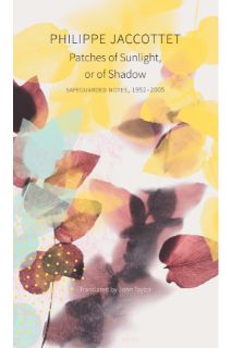 Patches of Sunlight, Or of Shadow