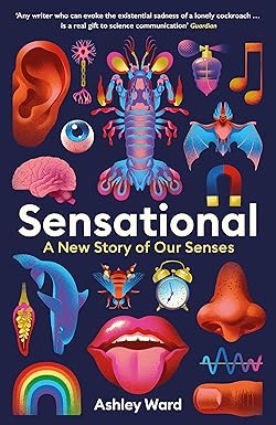 SENSATIONAL: A New Story of our Senses