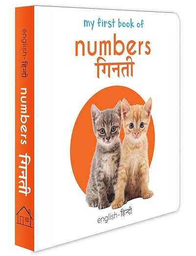 My First Book of Numbers - Ginti (English - Hindi): Bilingual